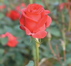 �׹��齫ҩˮ��Ƶ��ɳ���������Ӵ�¥����ϴ�� ��๫˾�����þ�̯...